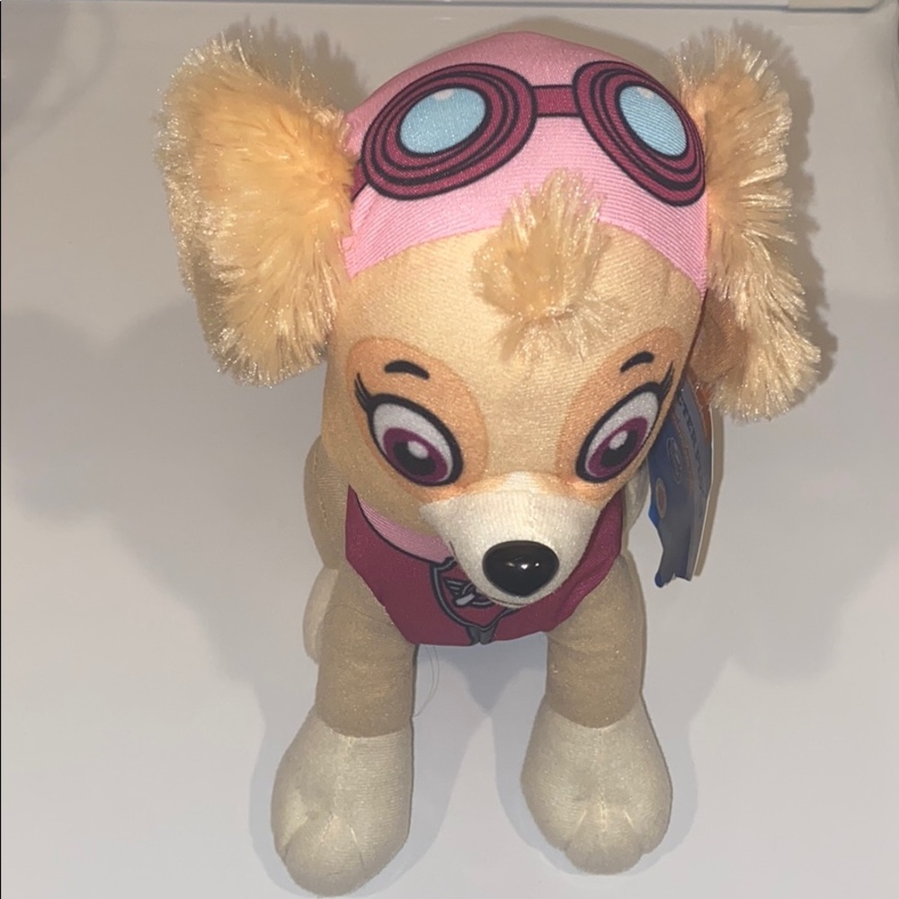 10 inch Paw 🐾 Patrol Sky